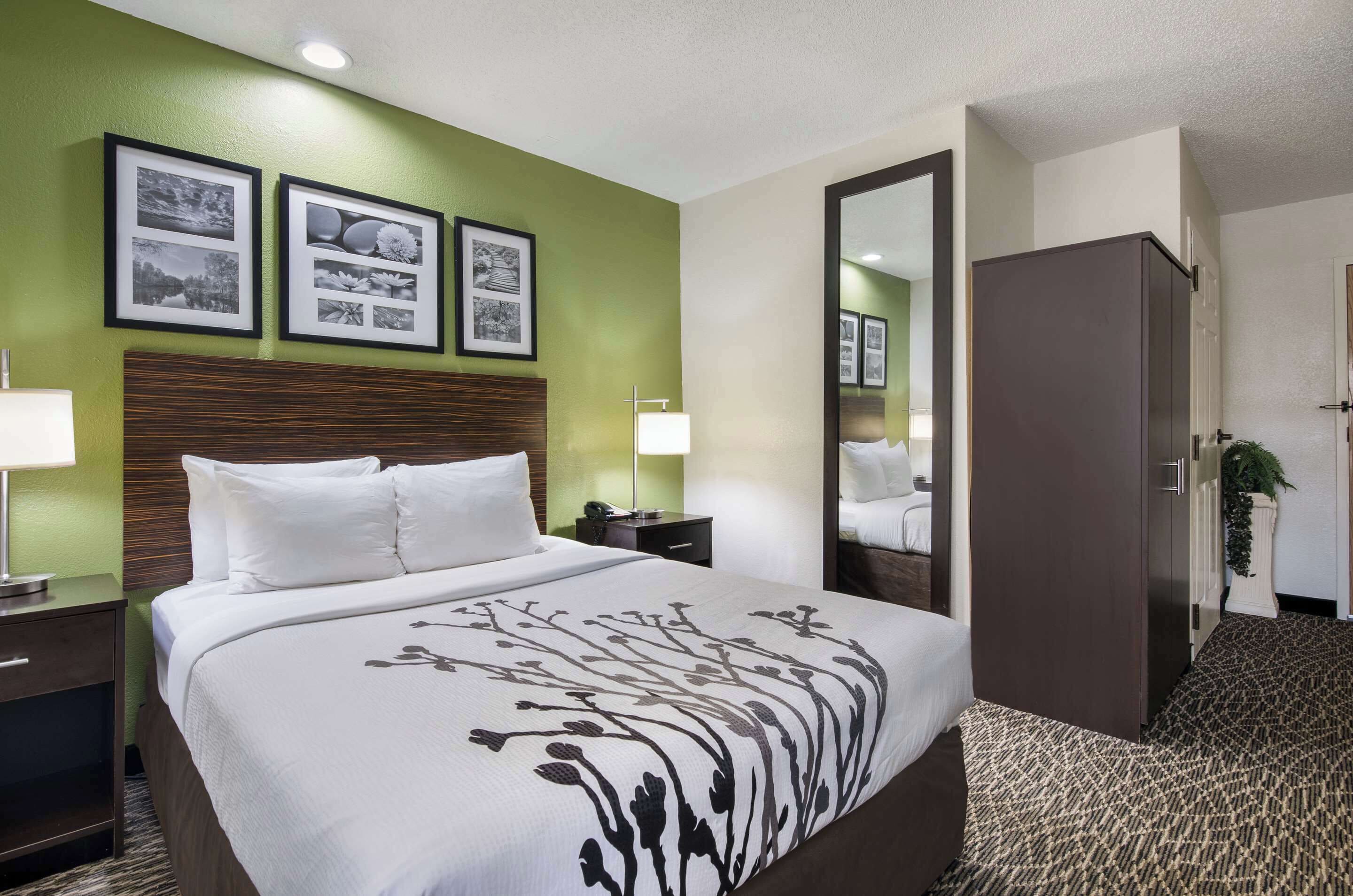 Room, 1 Queen Bed, Accessible, Non Smoking | Desk, blackout drapes, iron/ironing board, free cribs/infant beds