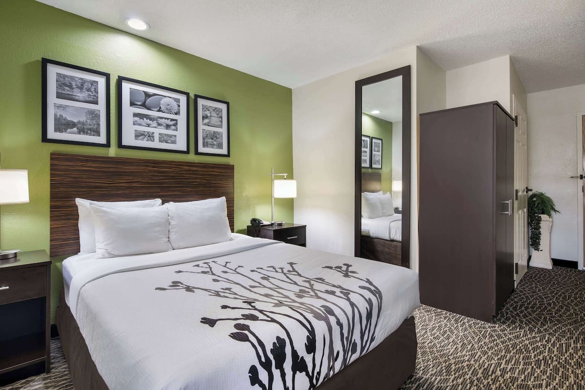 Room, 1 Queen Bed, Accessible, Non Smoking | Desk, blackout drapes, iron/ironing board, free cribs/infant beds