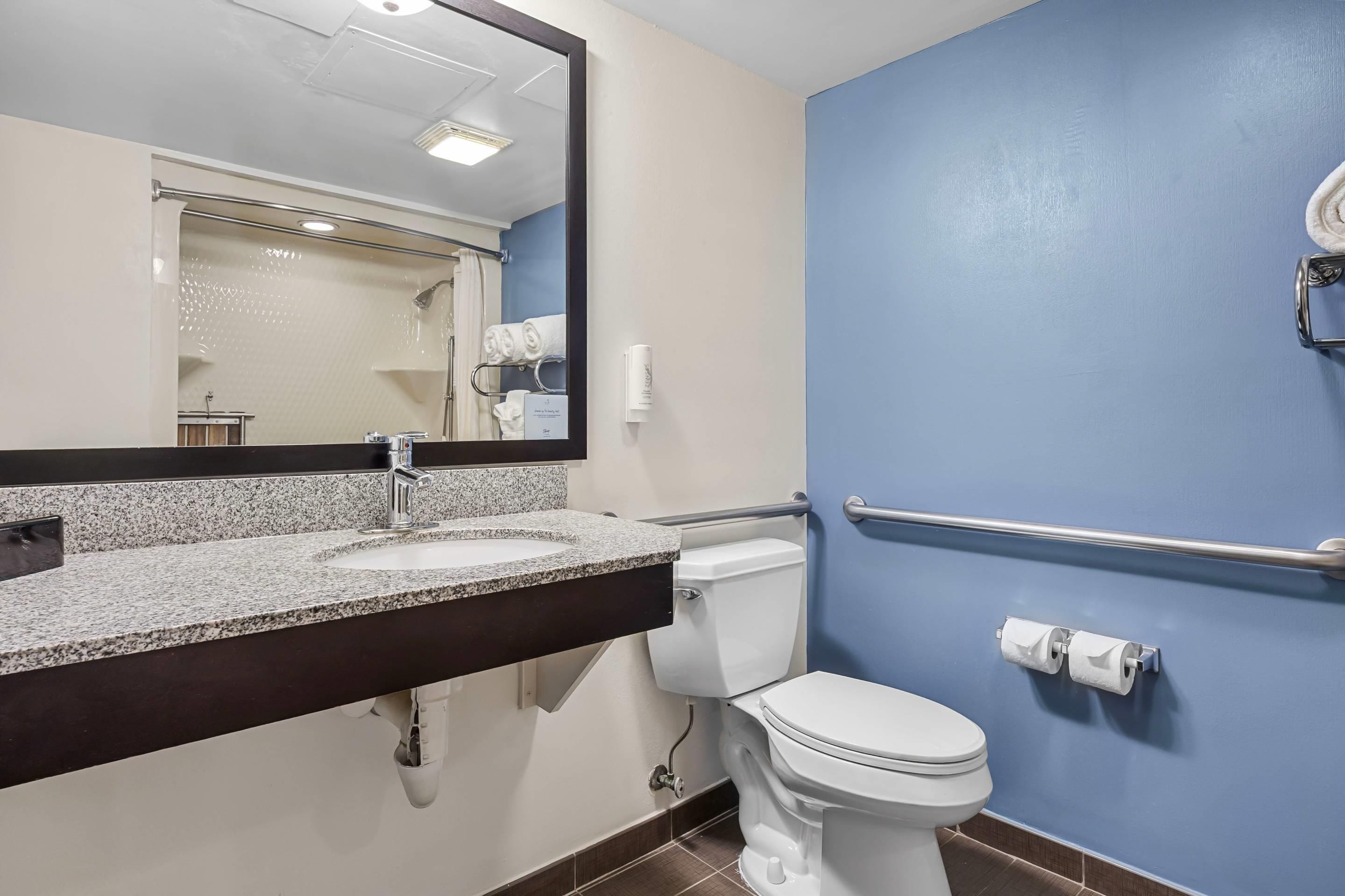 A bathroom with a sink, mirror, toilet, and handrails.