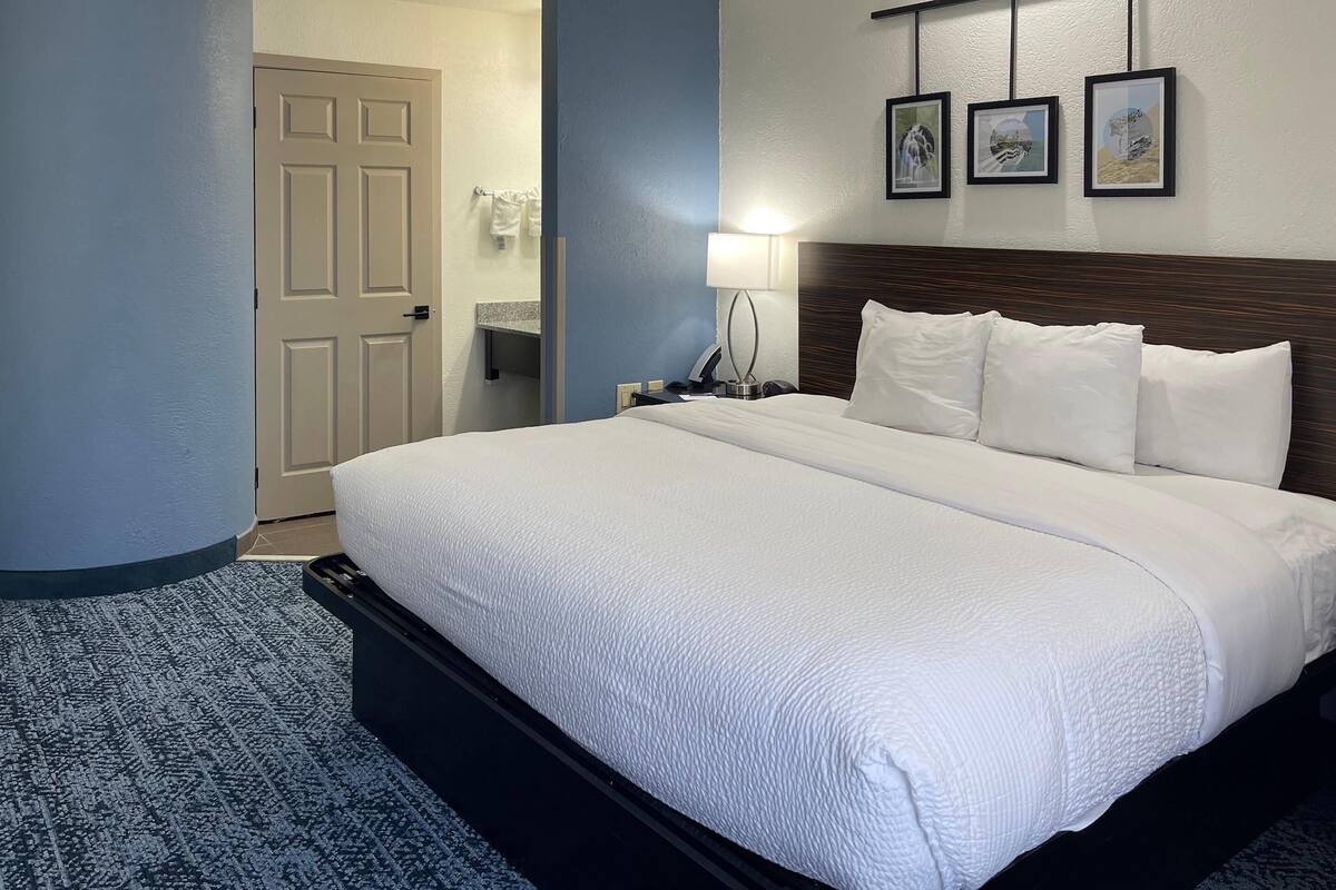 Standard Room, 1 King Bed, Non Smoking | Desk, blackout drapes, iron/ironing board, free cribs/infant beds