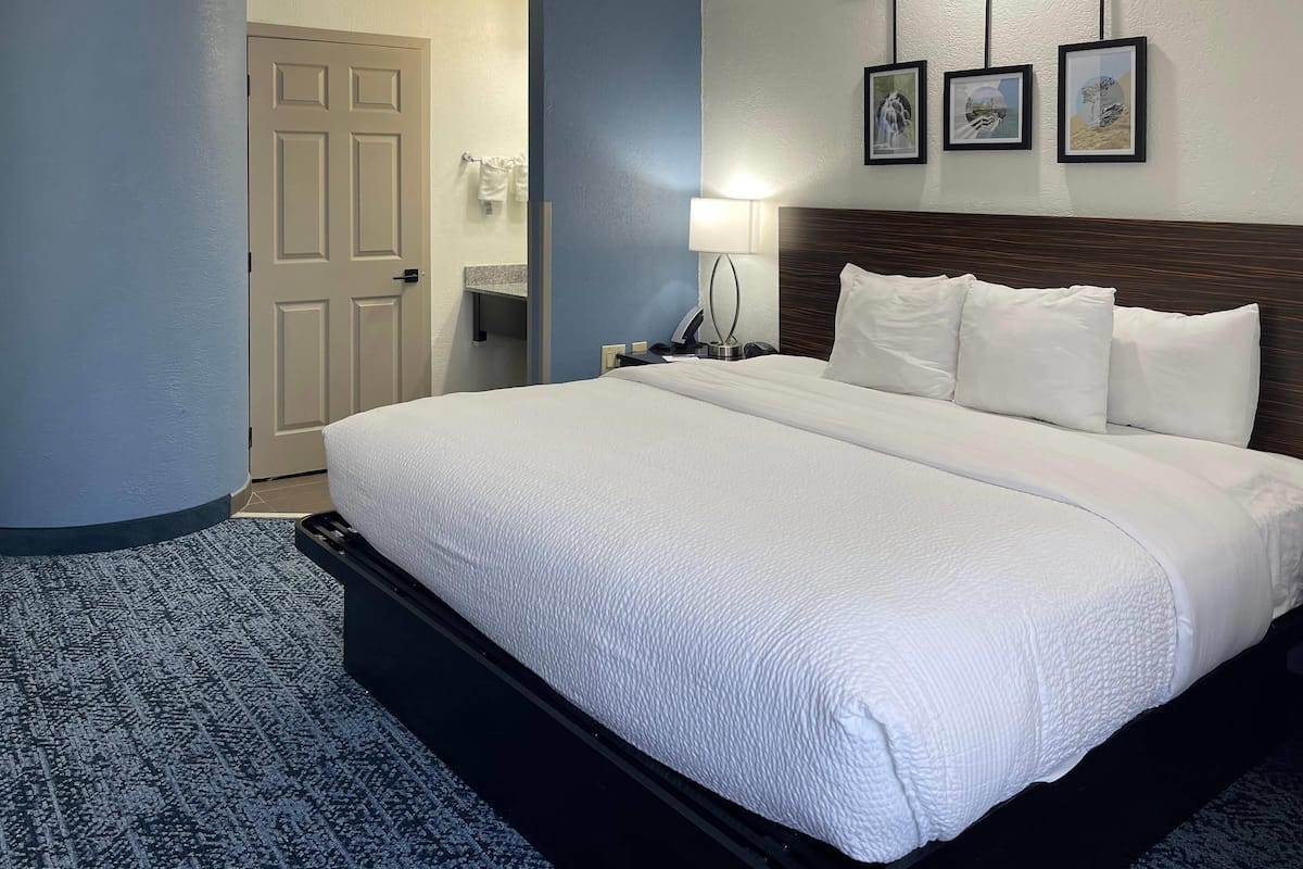 Habitación estándar, 1 cama King size, para no fumadores | Escritorio, cortinas blackout y tabla de planchar con plancha