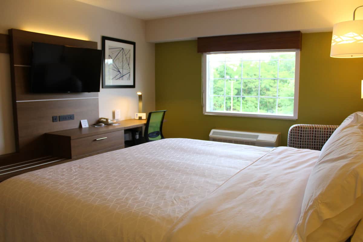 Ein Hotelzimmer mit einem Bett, einem Schreibtisch mit Stuhl, einem an der Wand befestigten Flachbildfernseher und einem Fenster mit Blick auf Grünflächen.