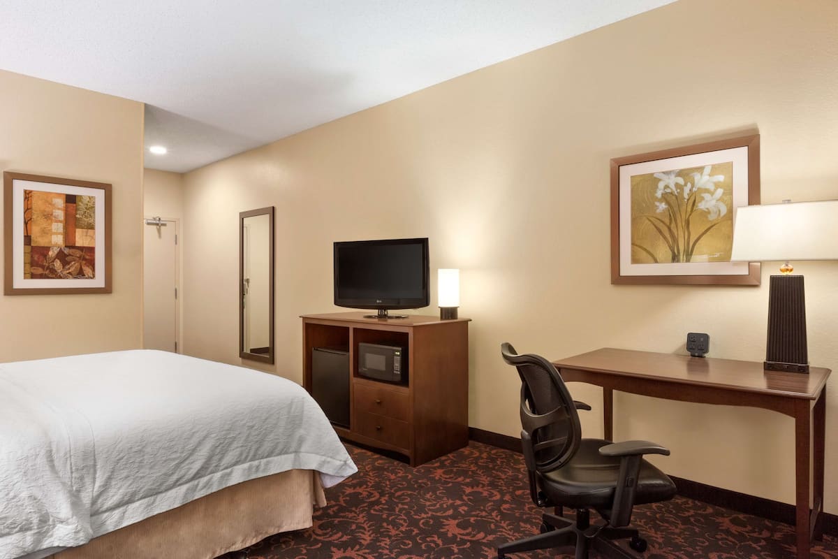 A hotel room with a bed, a desk, a chair, a television, a microwave, and a lamp.