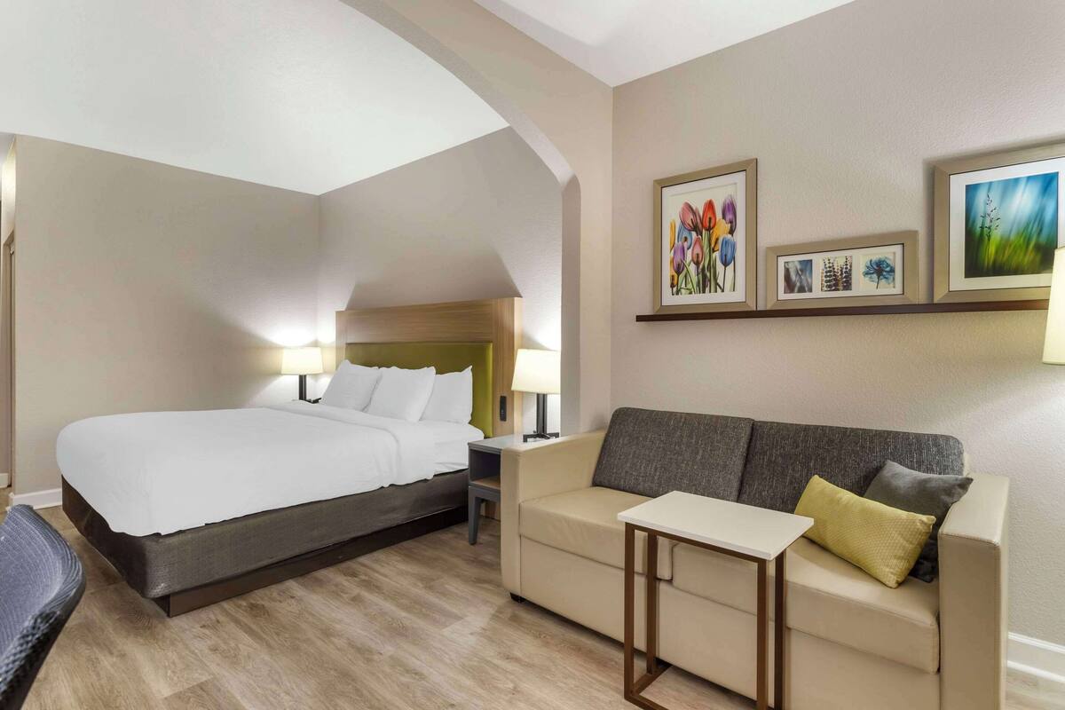 Une chambre d’hôtel avec un lit, un canapé, une petite table et des œuvres d’art accrochées aux murs.