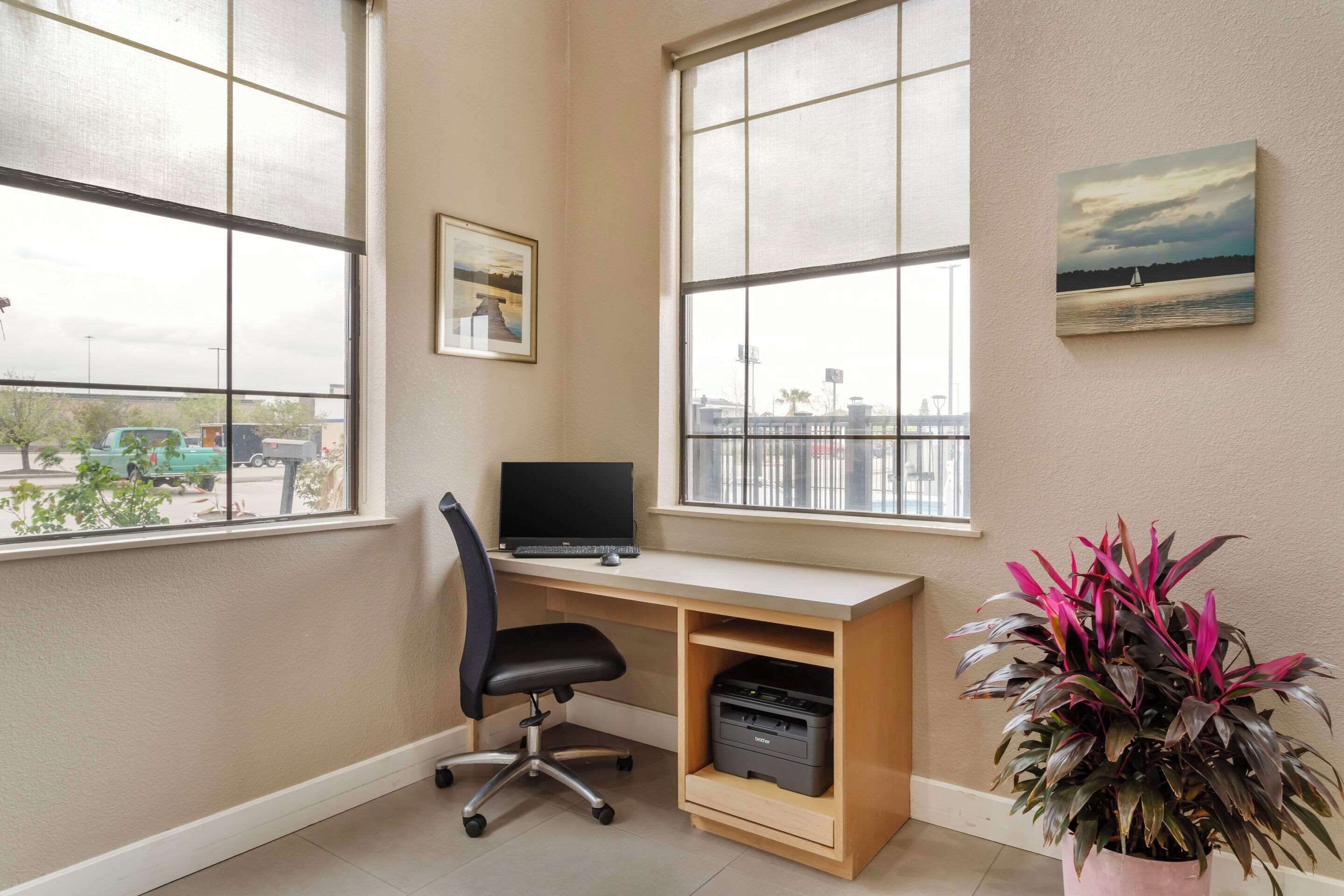 A room with a desk, chair, printer, and a potted plant.