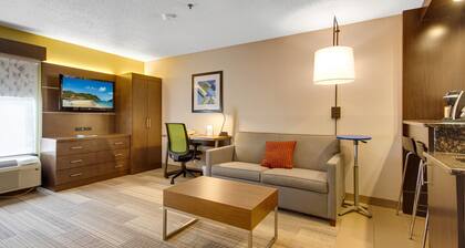 Holiday Inn Express Dublin by IHG