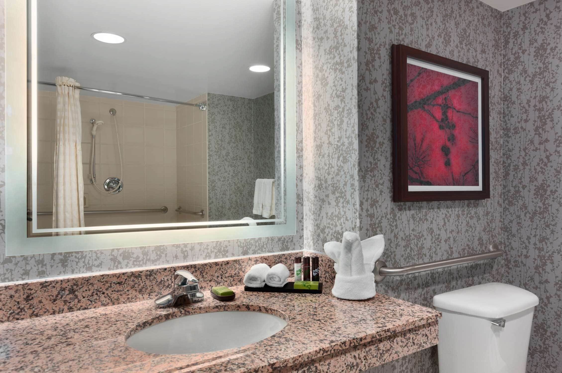 A bathroom with a granite countertop sink, a large mirror, a framed artwork, a towel rack, and a toilet.