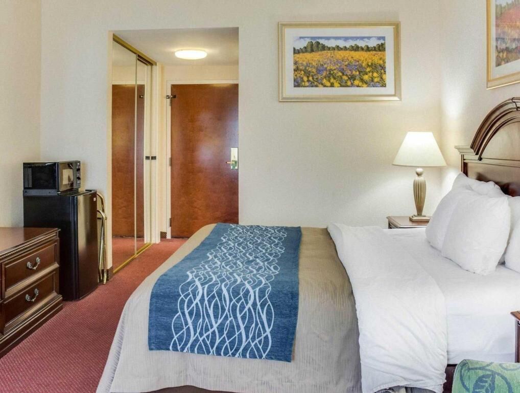 客房内保险箱、办公桌、熨斗/熨衣板、免费 WiFi