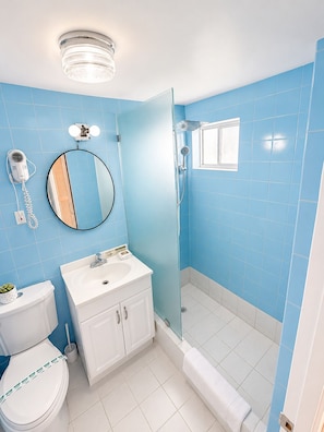 Un baño con inodoro, lavabo, espejo y ducha.