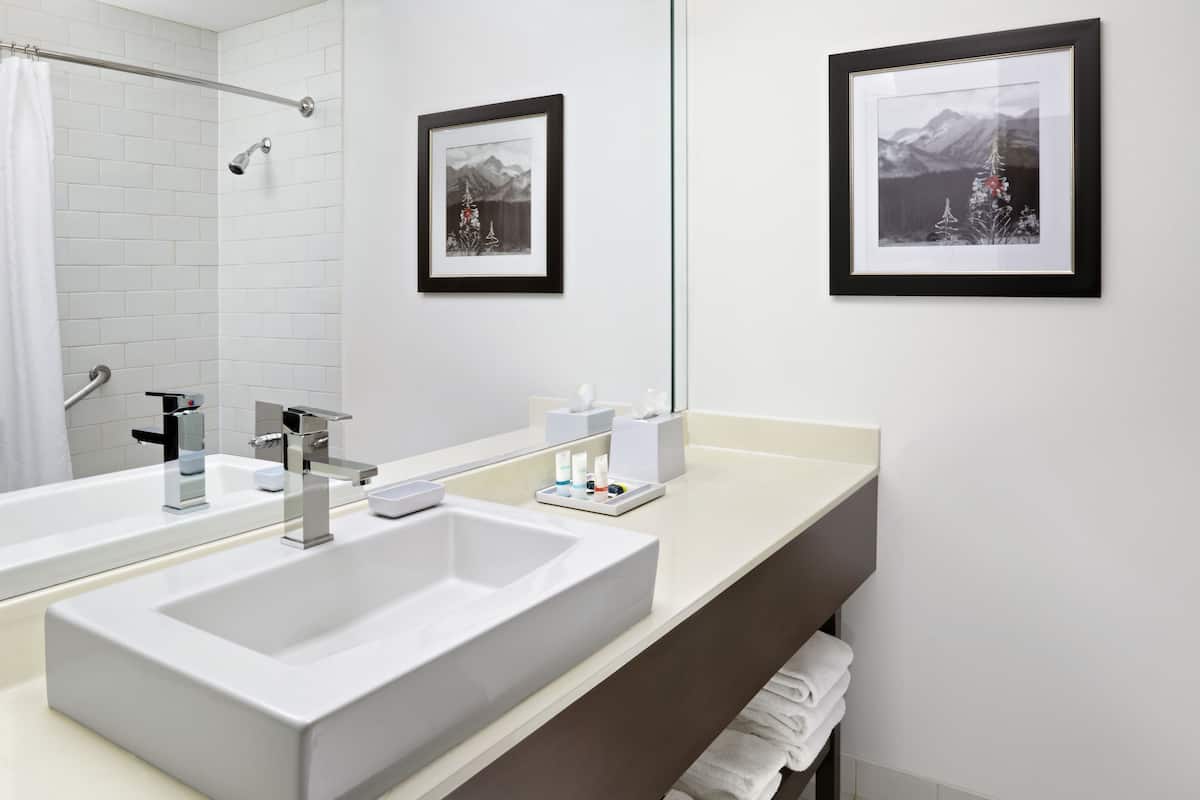 A modern bathroom with a large white sink, a mirror, and two framed pictures on the wall.