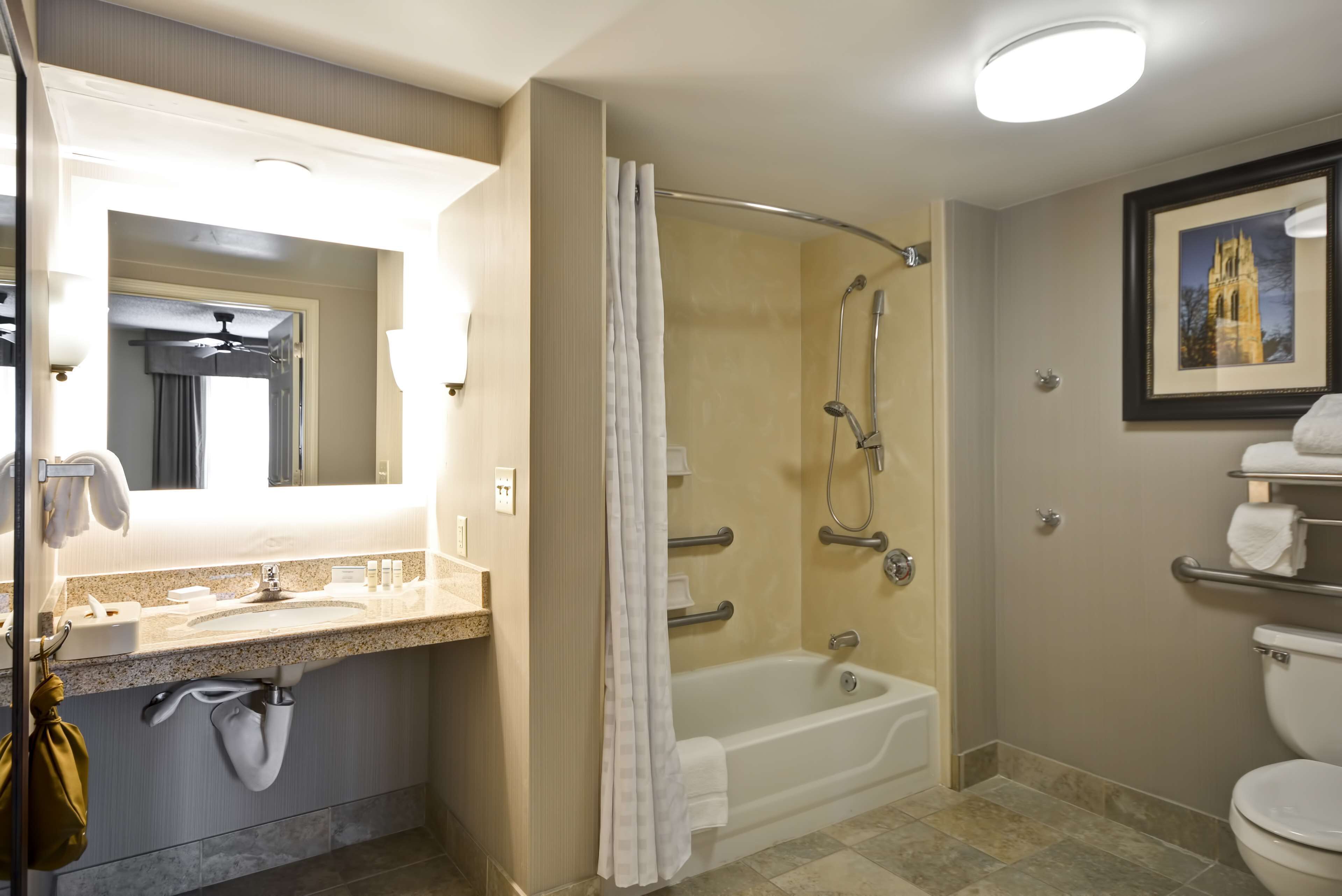 suite, 1 king bed, accessible, bathtub (mobility & hearing) | bathroom | combined shower/bathtub, free toiletries, hair dryer, towels