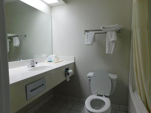 Free toiletries, hair dryer, towels