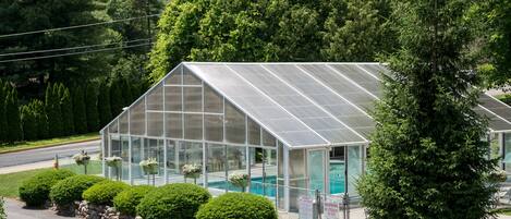 Actividades para niños