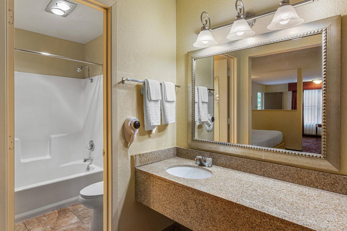 combined shower/bathtub, free toiletries, hair dryer, towels
