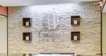 Comfort Inn & Suites Macon North I-75