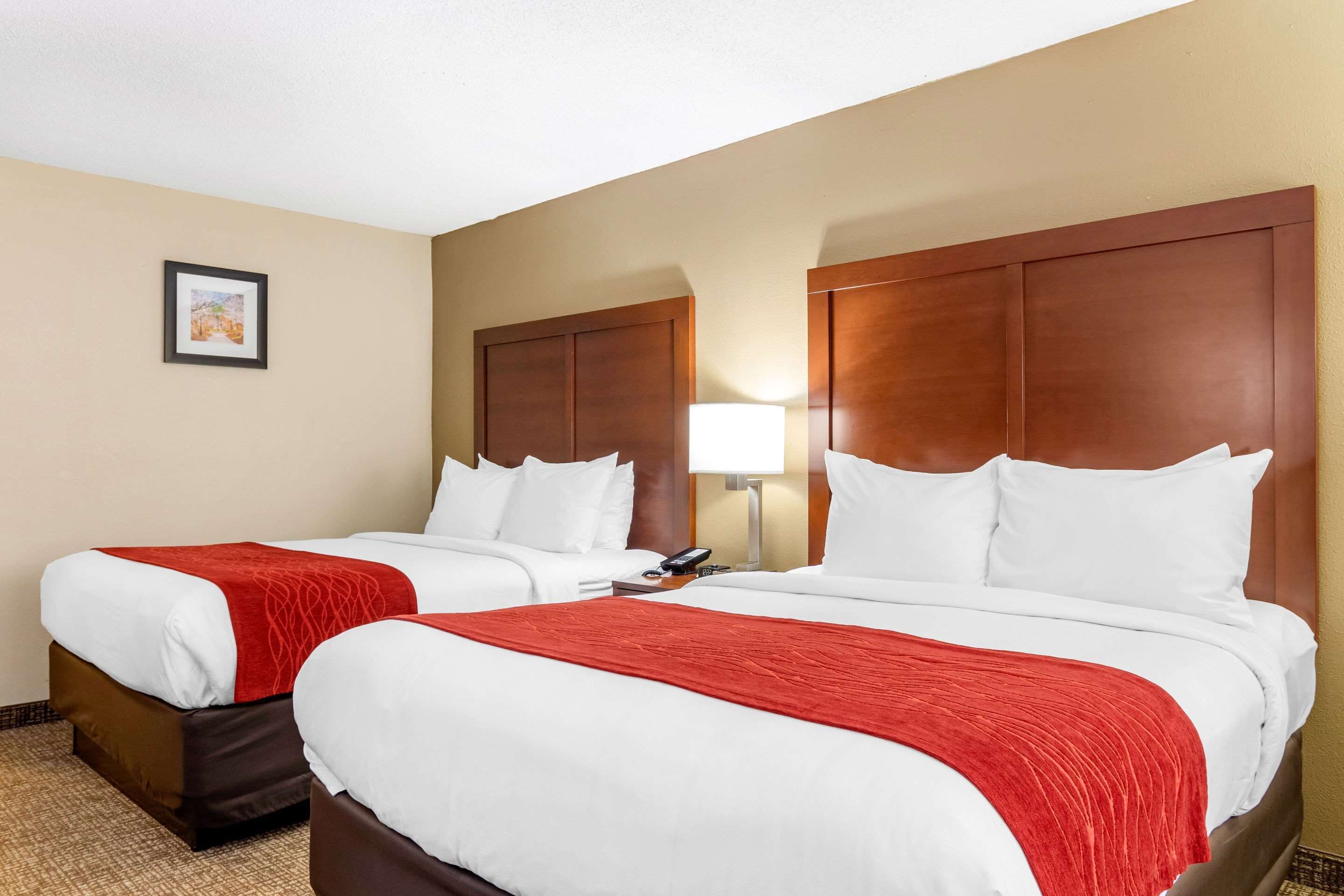 A hotel room with two beds, each with white bedding and red throw blankets. There is a framed picture on the wall, a bedside lamp, and a telephone on the nightstand.
