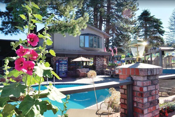 2 สระว่ายน้ำกลางแจ้ง, เก้าอี้อาบแดดริมสระ