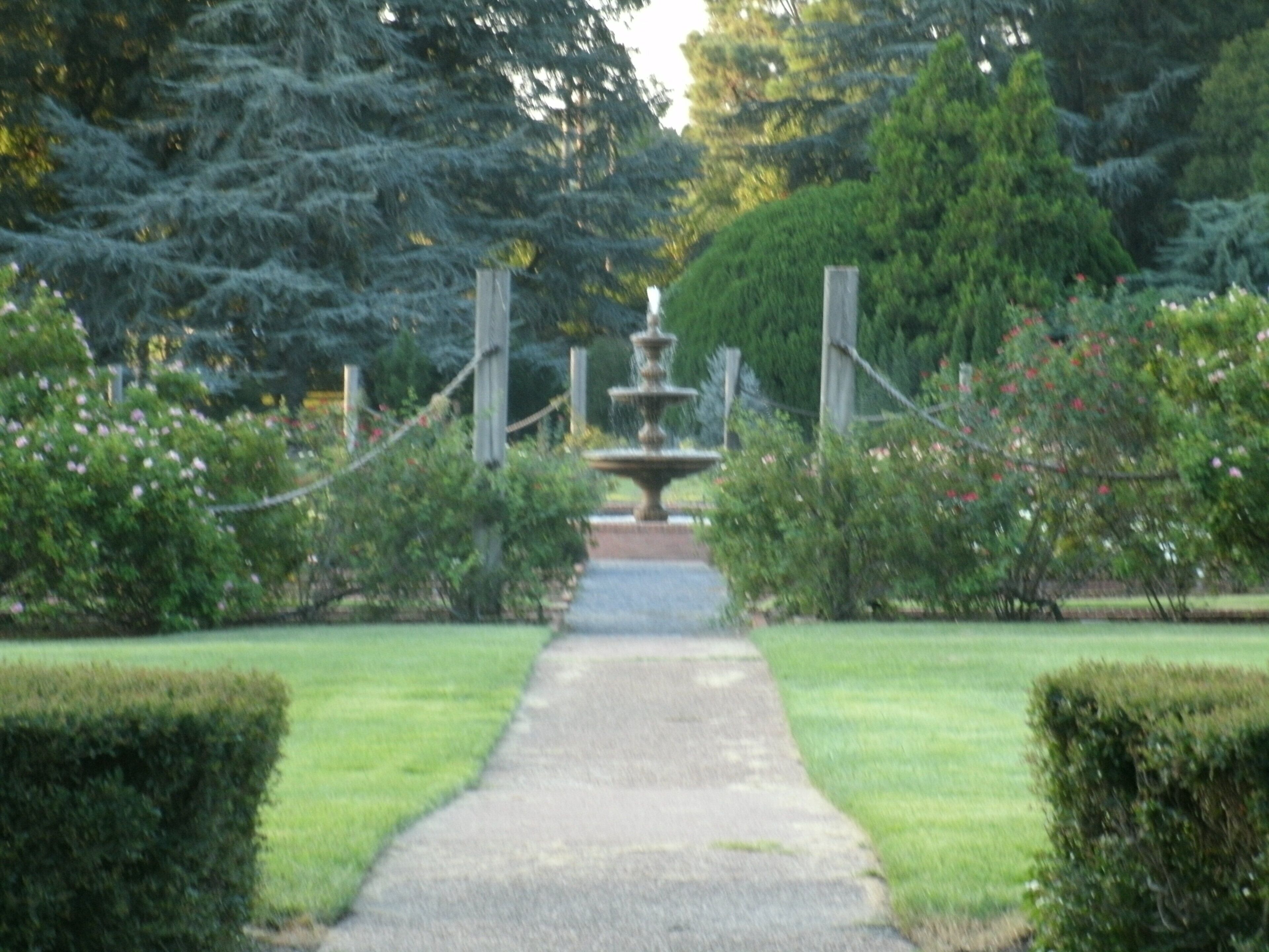A garden pathway leading to a central fountain, surrounded by neatly trimmed hedges and trees.