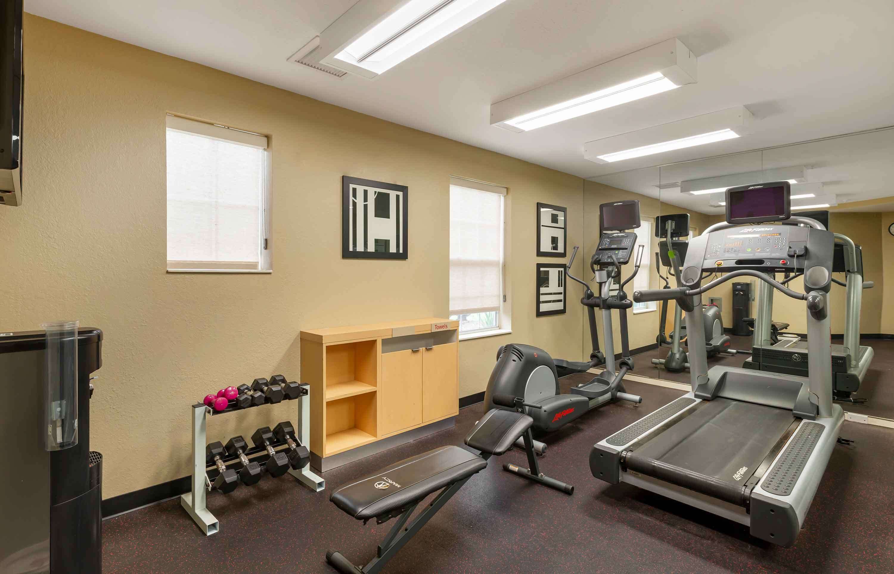 A gym with treadmills, elliptical machines, and free weights.