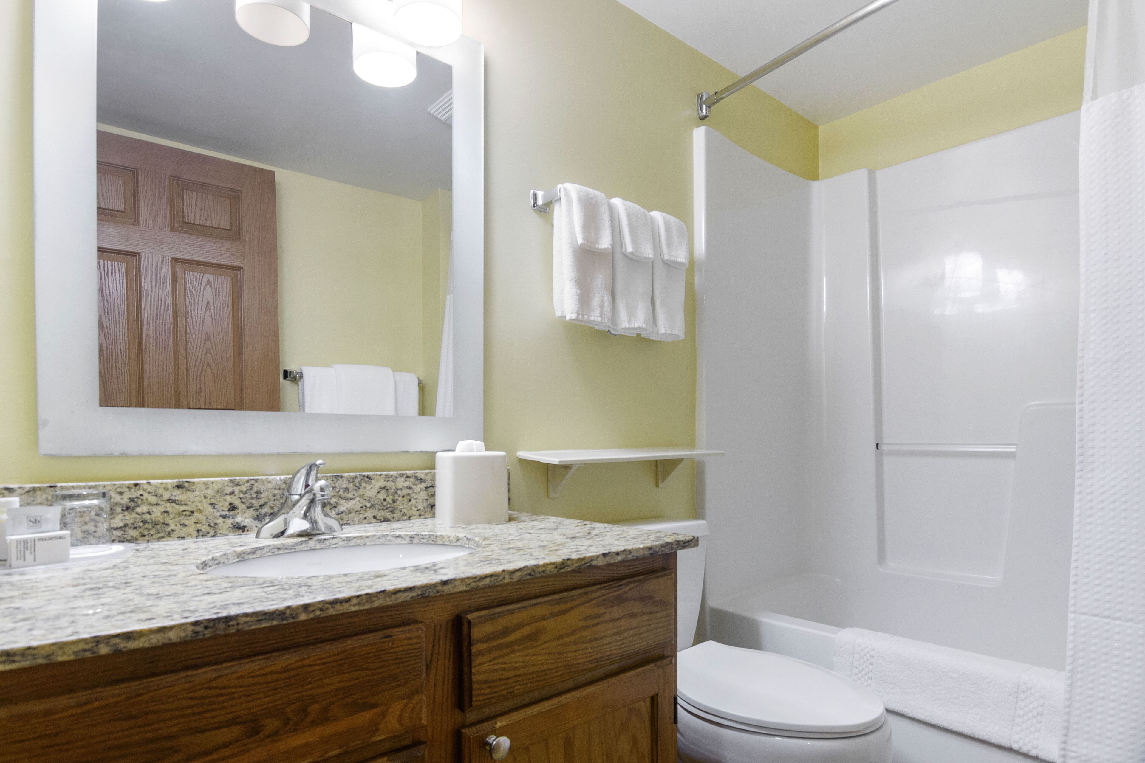 Combined shower/bathtub, free toiletries, hair dryer, towels