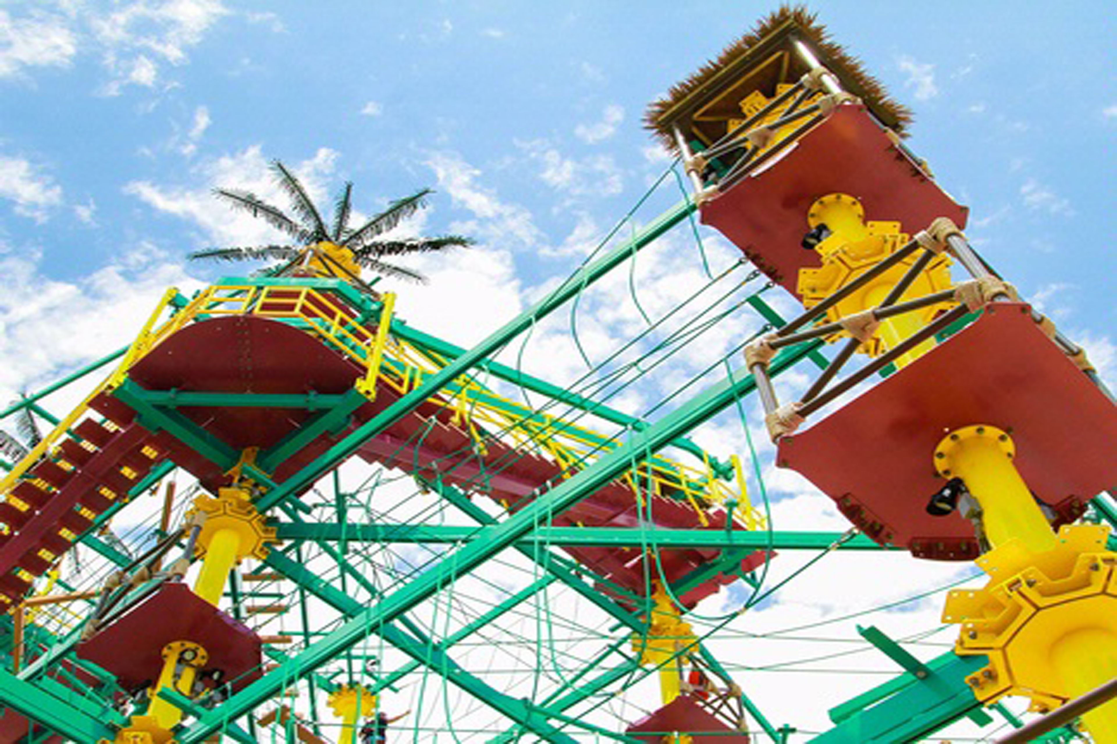 A large Ferris wheel with multiple cabins, a palm tree, and a clear blue sky.