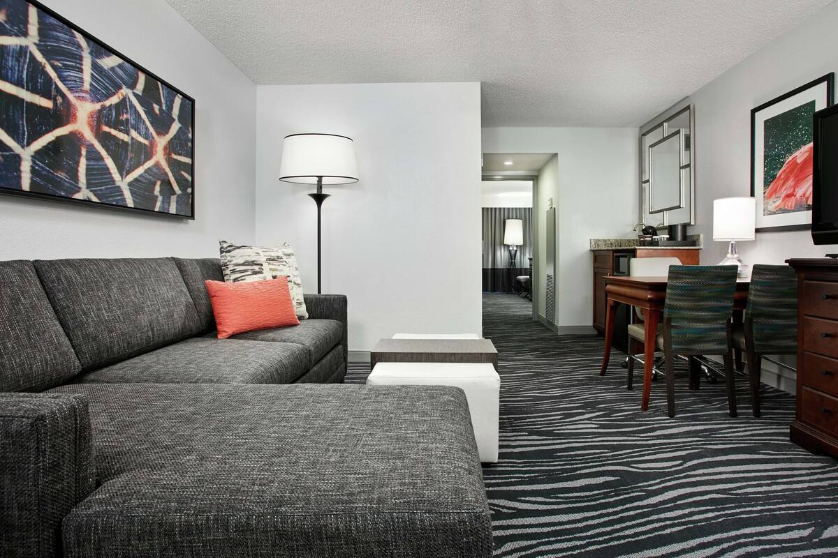 Una habitación de hotel moderna con un sofá gris, una mesita, una silla, un televisor y una alfombra con estampado de cebra.