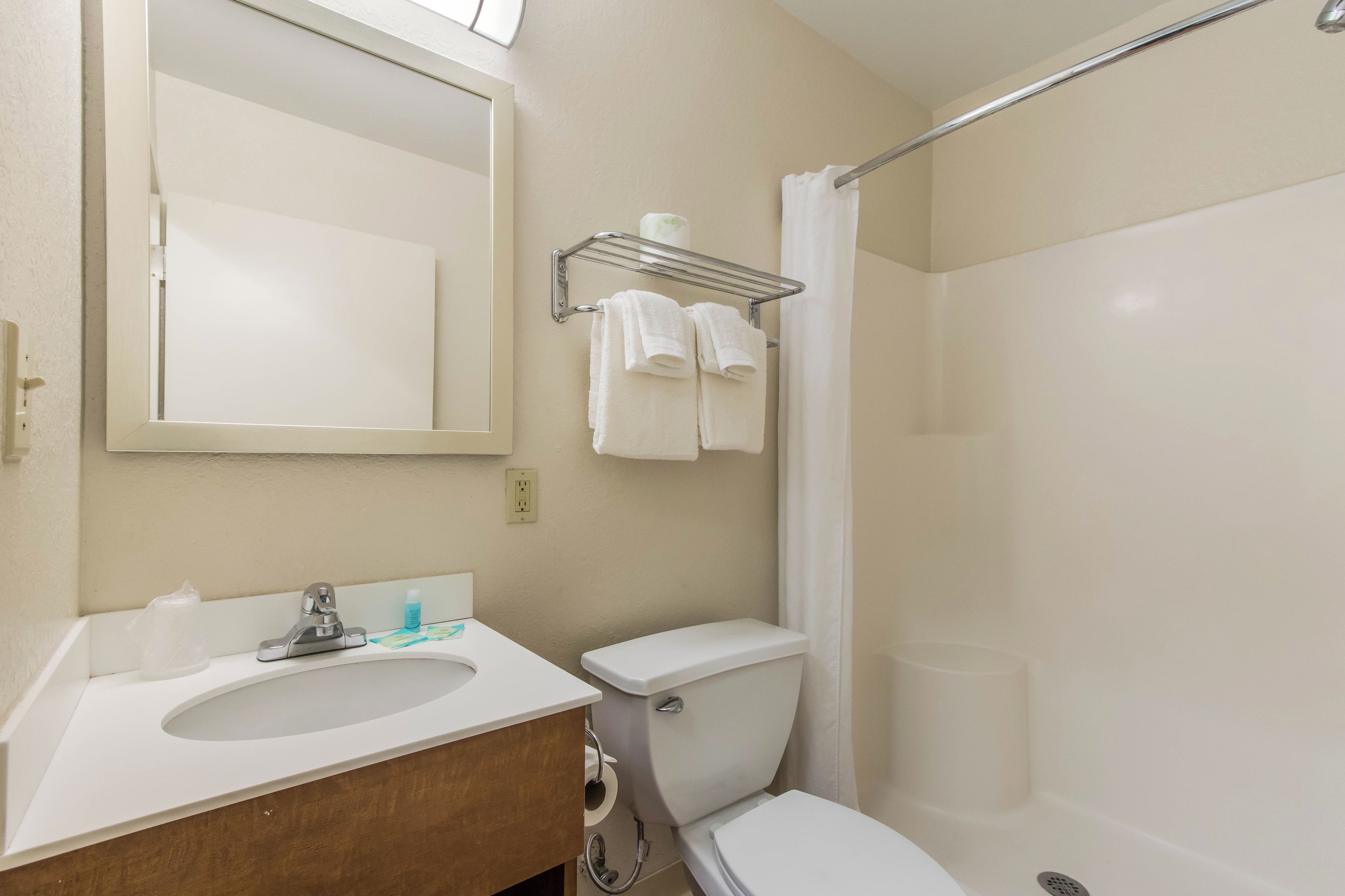 Une salle de bain avec un lavabo, des toilettes et une douche.