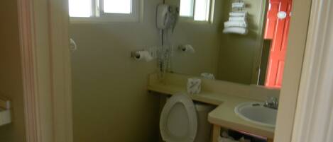 A small bathroom with a toilet, sink, and a mirror.