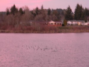 Lake