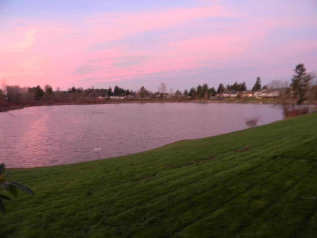 A lake with a grassy area in the foreground and a row of houses in the background.
