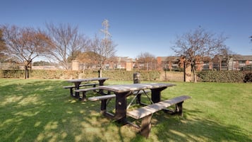 Área de parrillas y picnic