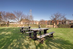 A grassy outdoor area with picnic tables and a hedge.