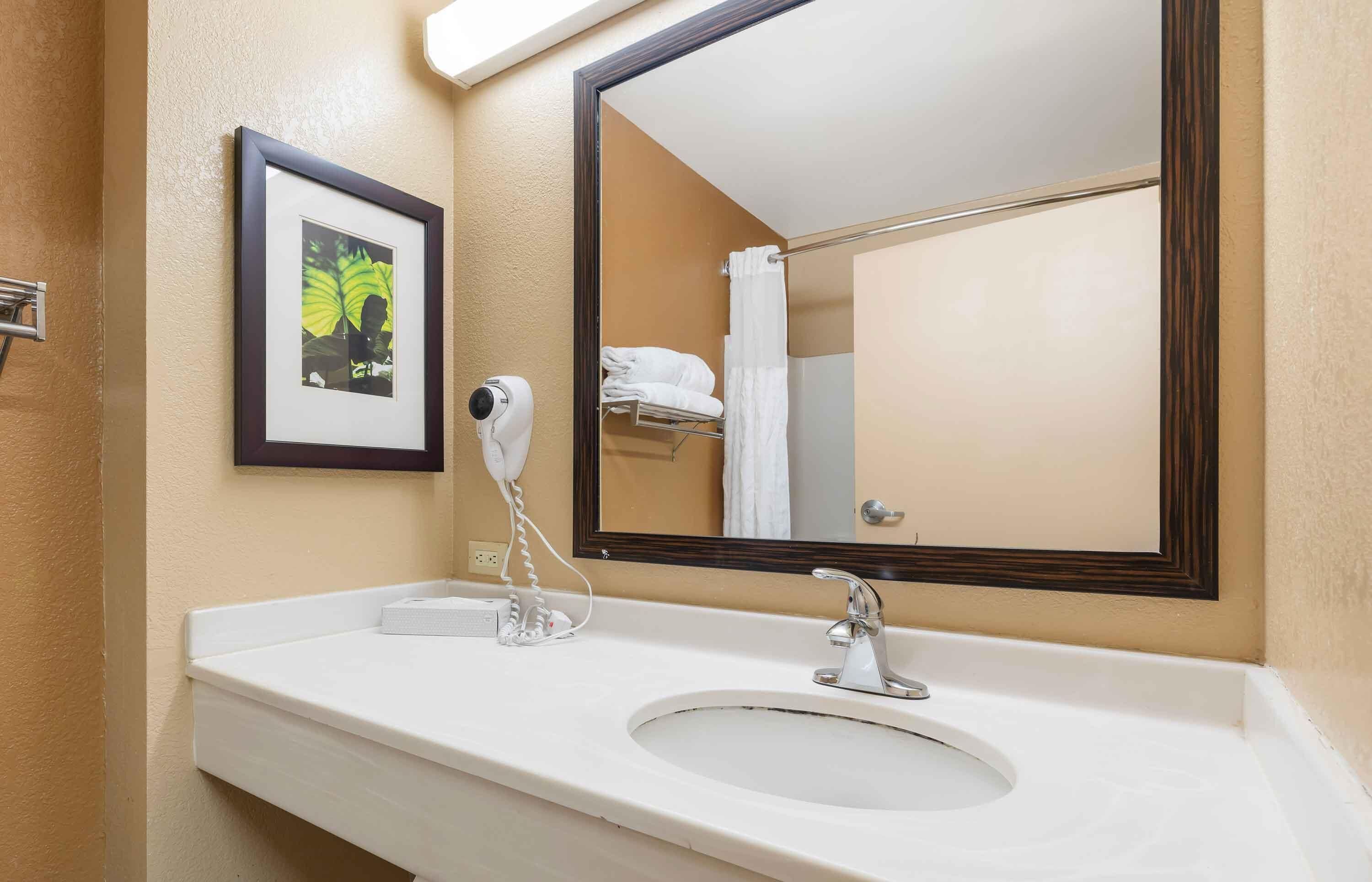 A bathroom with a white sink, a large mirror, a framed picture on the wall, and a hairdryer on the counter.