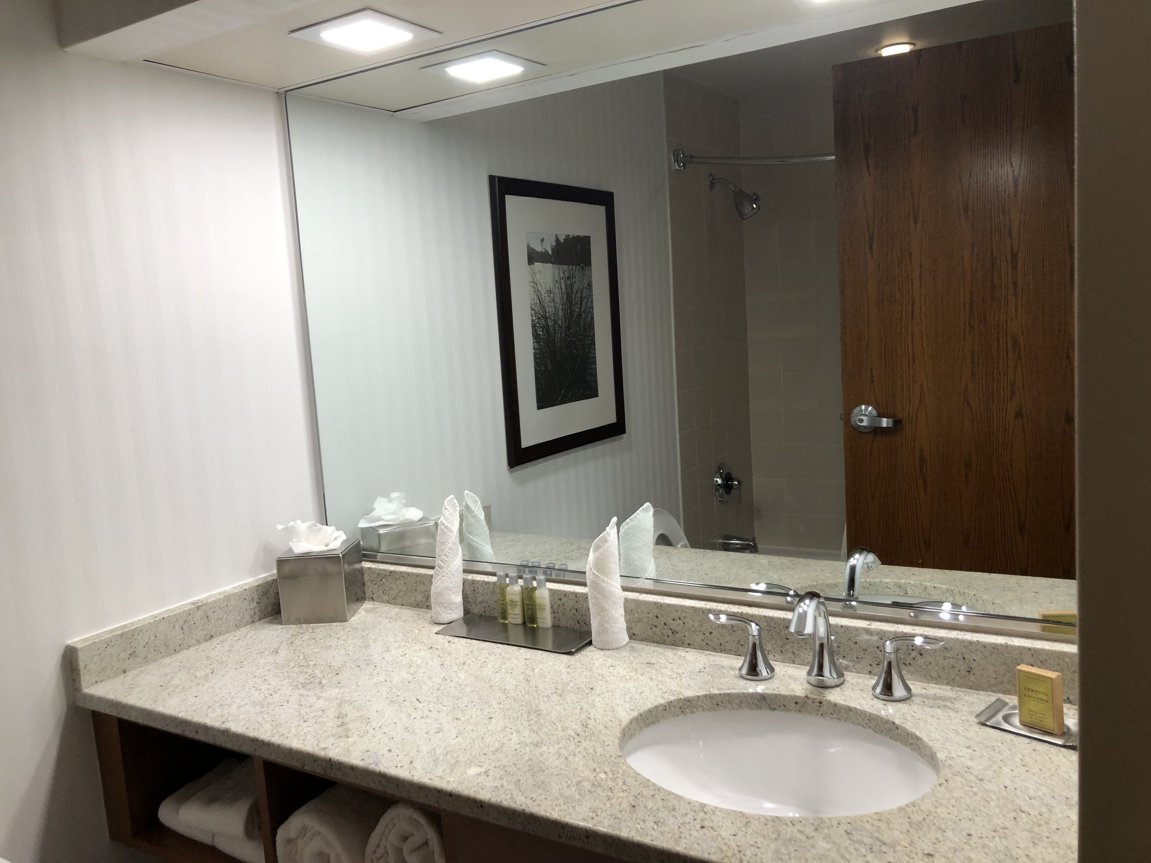 A bathroom with a large mirror, two sinks, a towel rack, and a framed picture on the wall.
