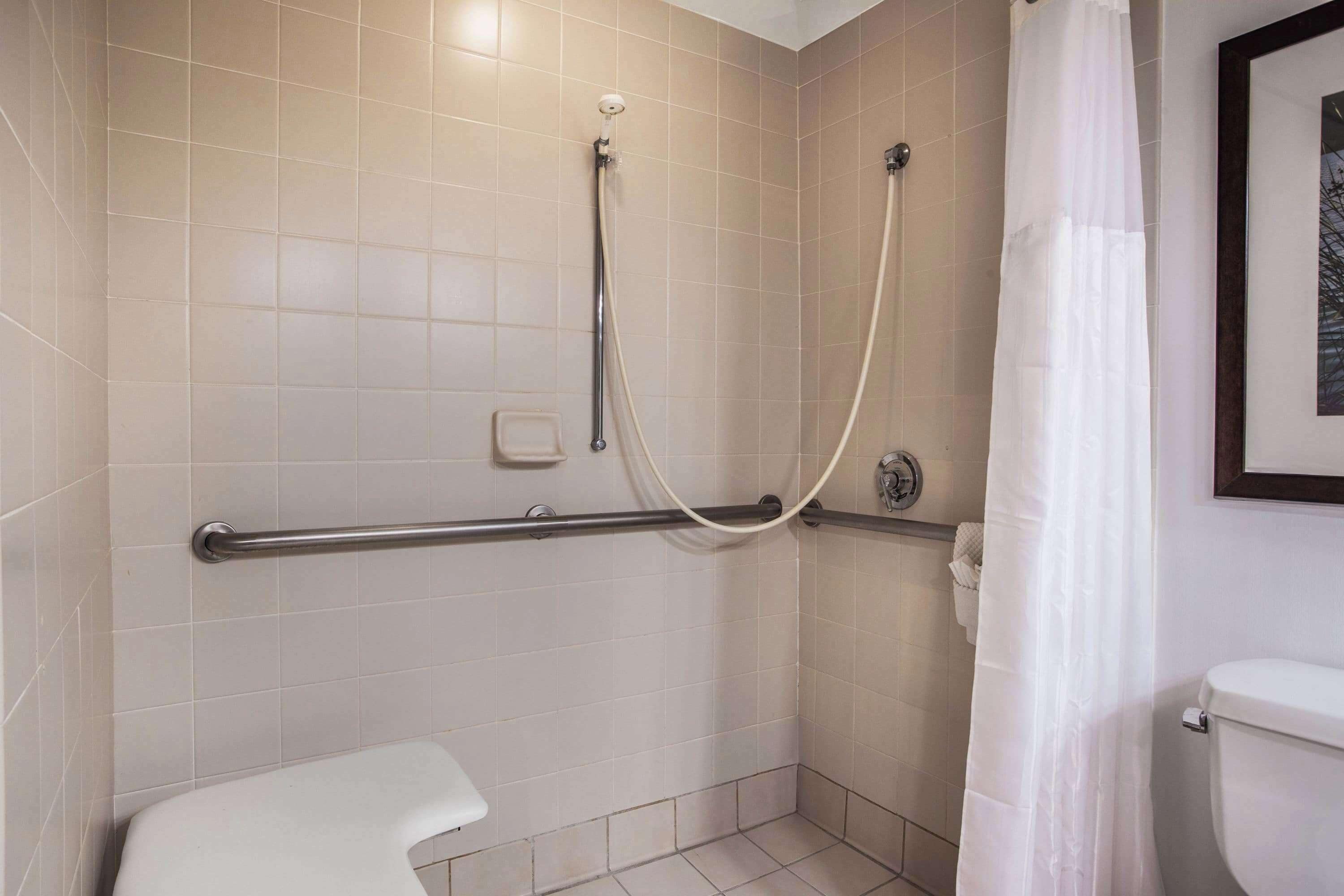 Une salle de bain équipée d’une douche, d’une barre d’appui, de toilettes et d’un tableau encadré au mur.