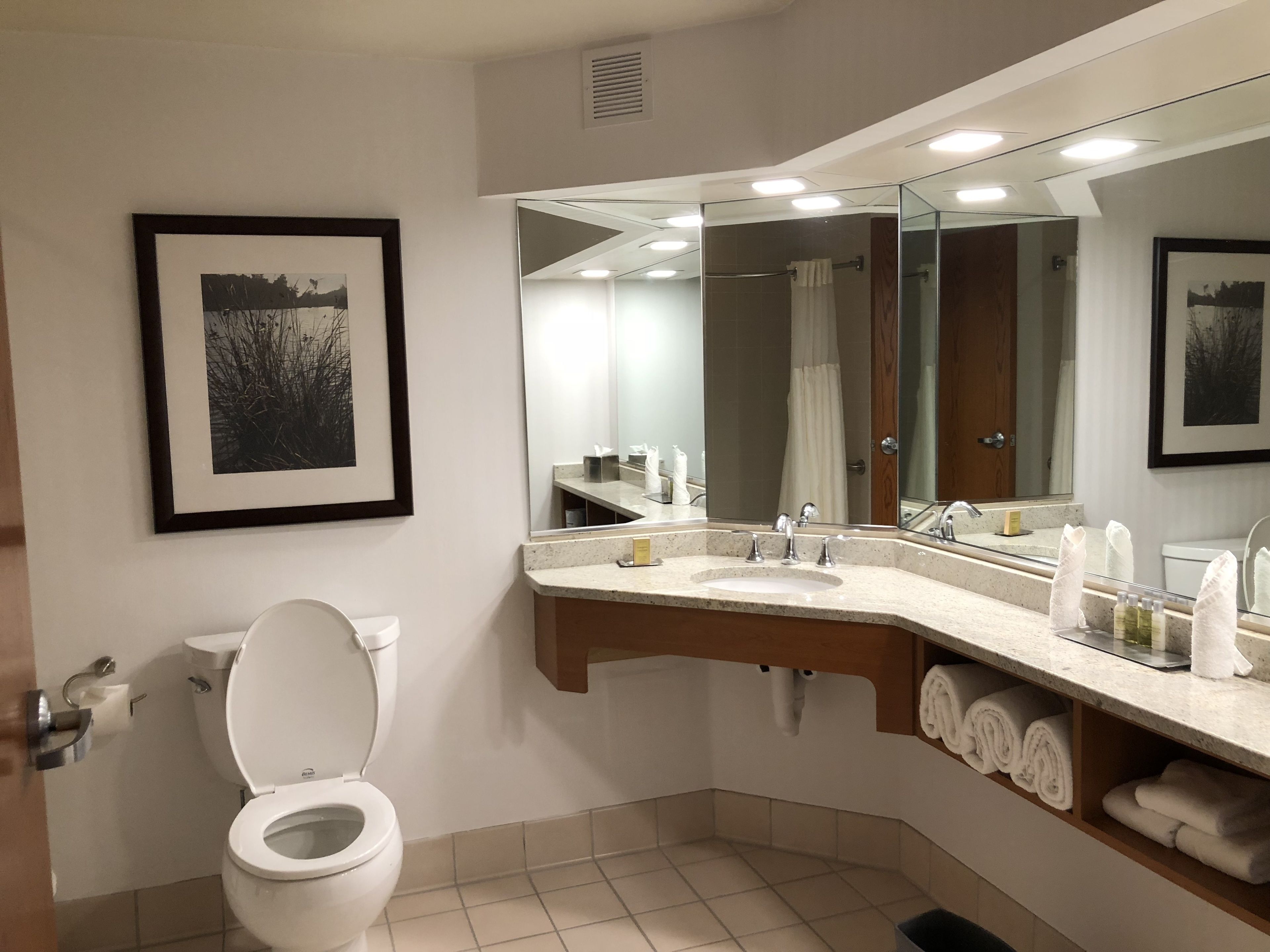 combined shower/bathtub, designer toiletries, hair dryer, towels