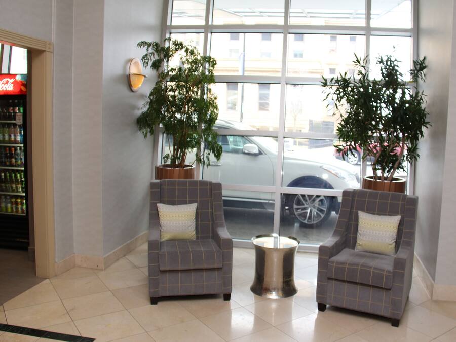 A lobby with two grey armchairs, a round coffee table, and two potted plants.