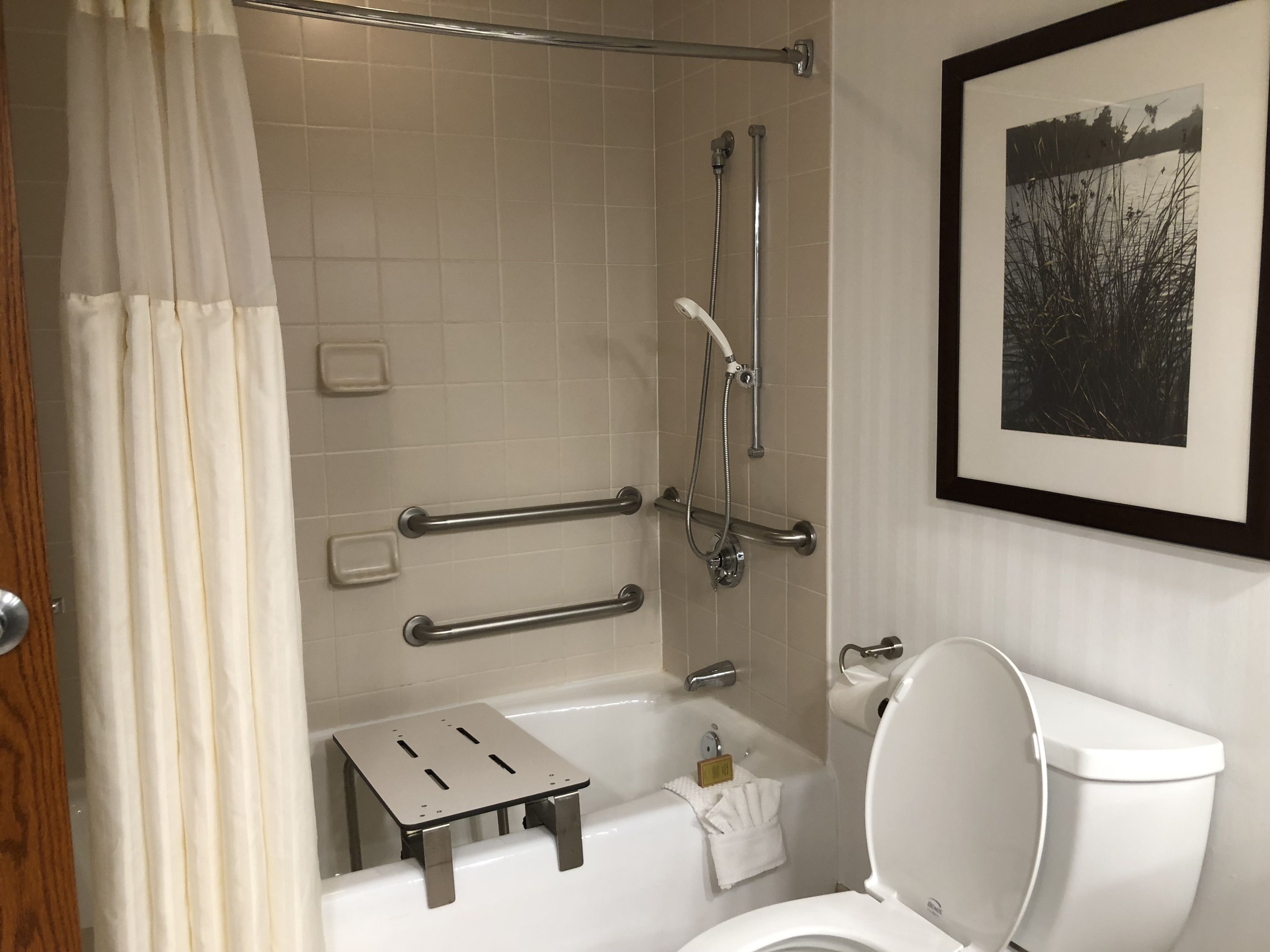 A bathroom with a bathtub, toilet, and a shower with grab bars.