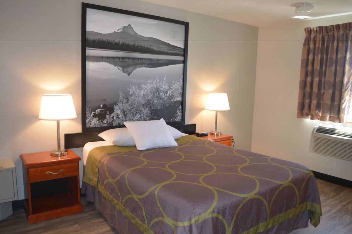 Une chambre d’hôtel comprenant un lit, deux lampes de chevet, une table de chevet, un climatiseur fixé au mur et un grand tableau représentant un paysage de montagne.