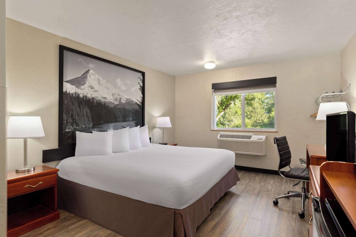 Une chambre d’hôtel avec un grand lit, deux tables de chevet avec des lampes, un bureau avec une chaise, une fenêtre donnant sur un paysage verdoyant et un climatiseur fixé au mur.