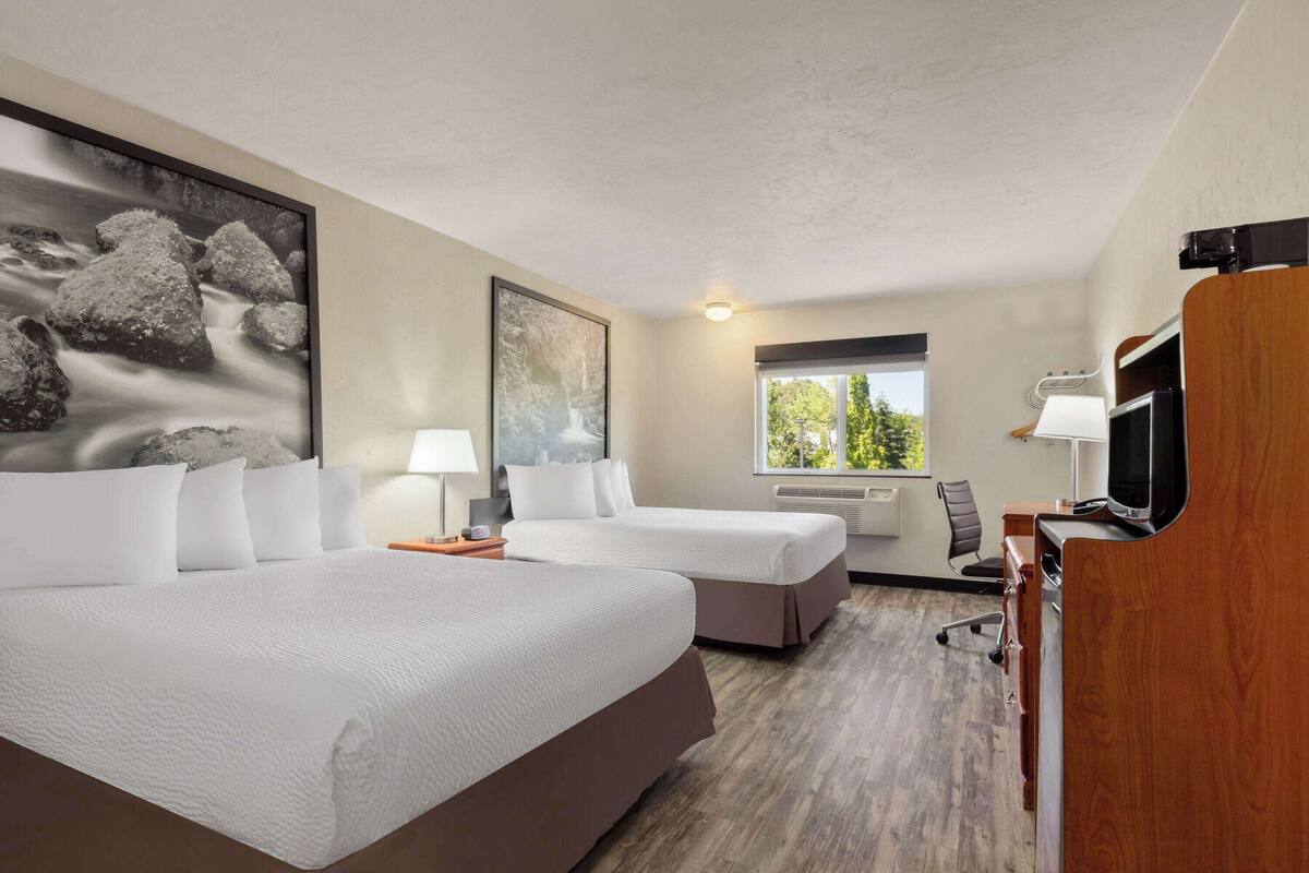 Une chambre d’hôtel avec deux lits, un bureau, une télévision et une fenêtre donnant sur des arbres.