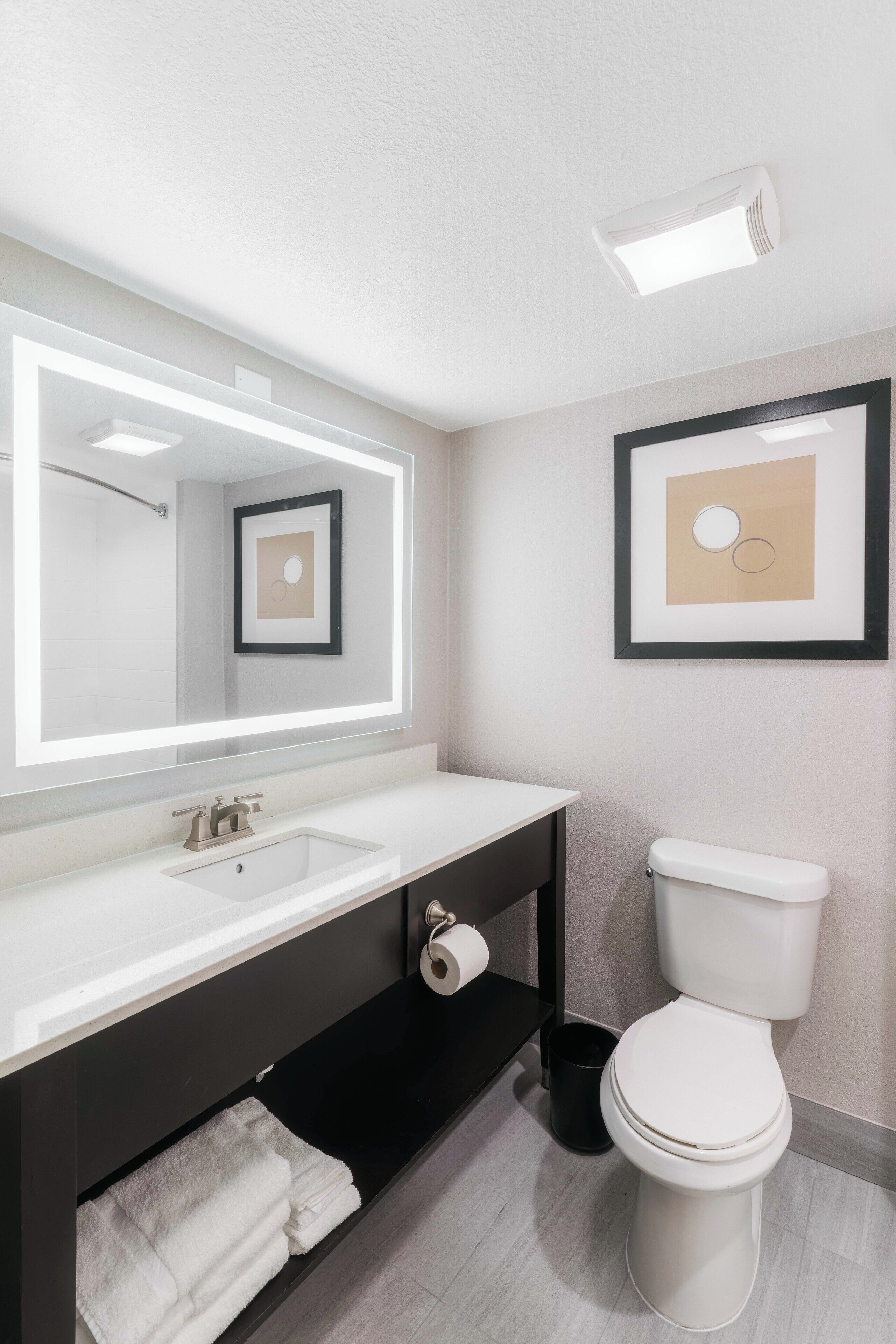 Une salle de bain moderne avec un lavabo blanc, un grand miroir, des toilettes et un tableau encadré au mur.