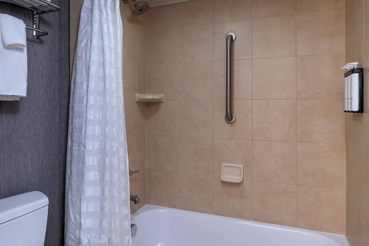 combined shower/bathtub, designer toiletries, hair dryer, towels