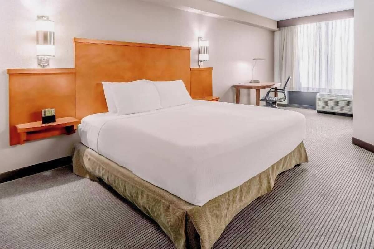 1 chambre, literie de qualitĂ©, bureau, rideaux dâobscurcissement