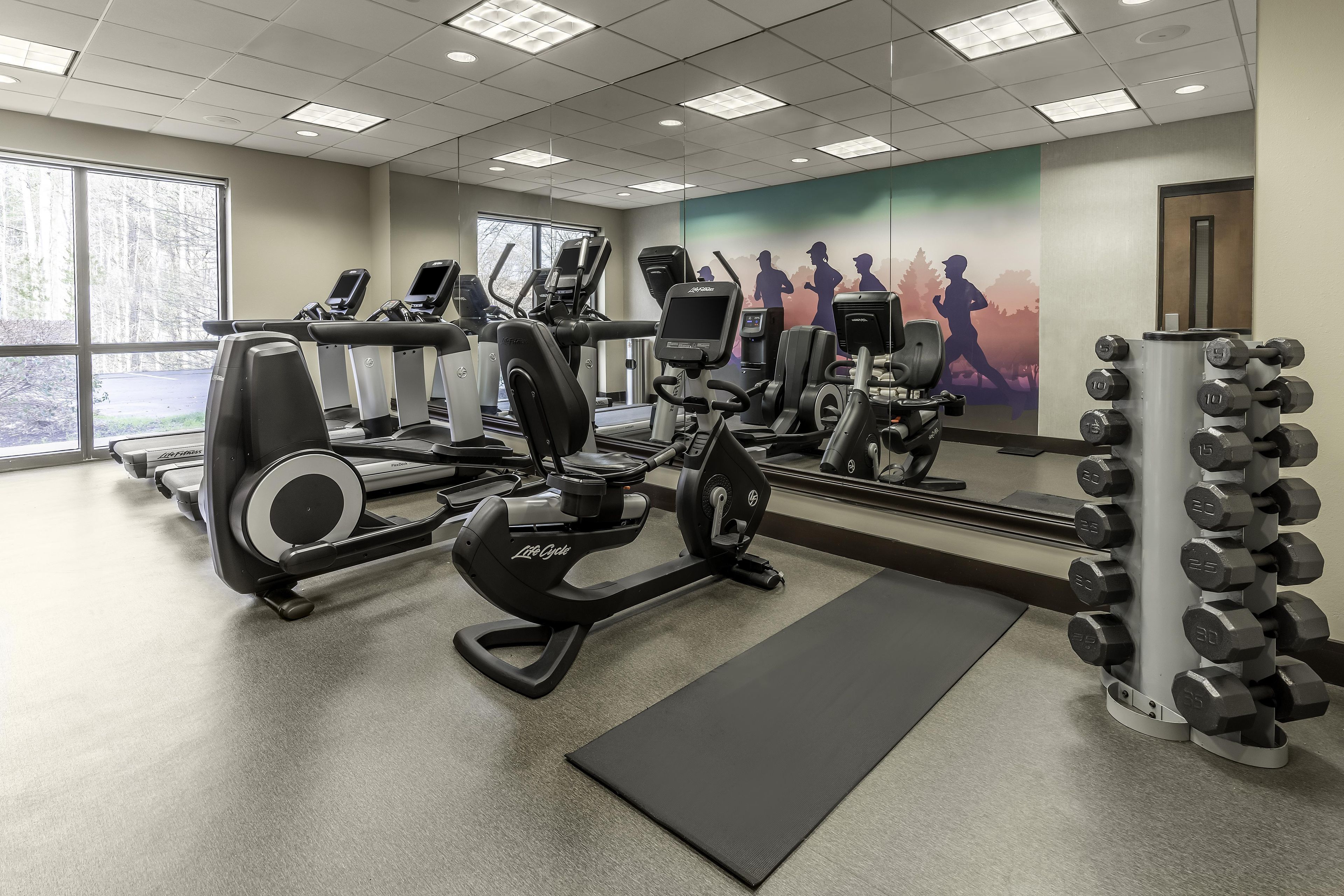 A gym with cardio machines, weightlifting equipment, and a mural of runners.