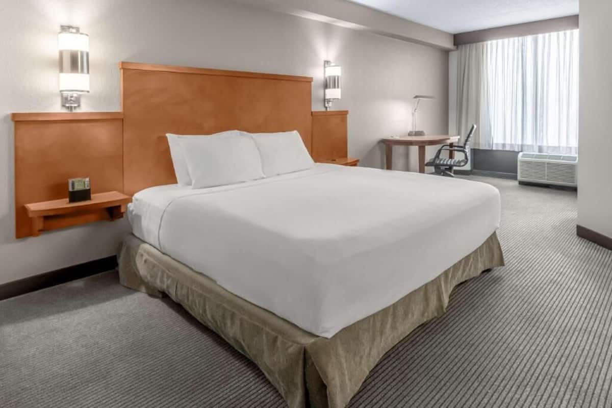 1 chambre, literie de qualitĂ©, bureau, rideaux dâobscurcissement