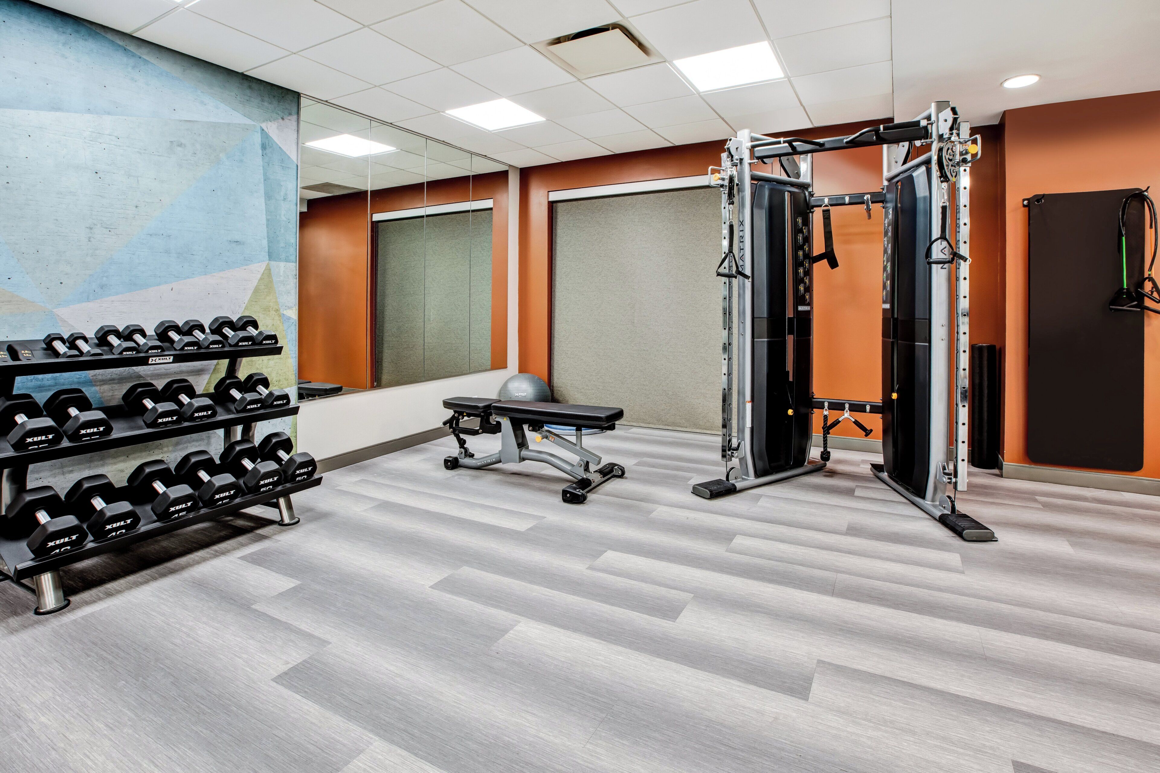 A gym with weightlifting equipment, a bench, and dumbbells.