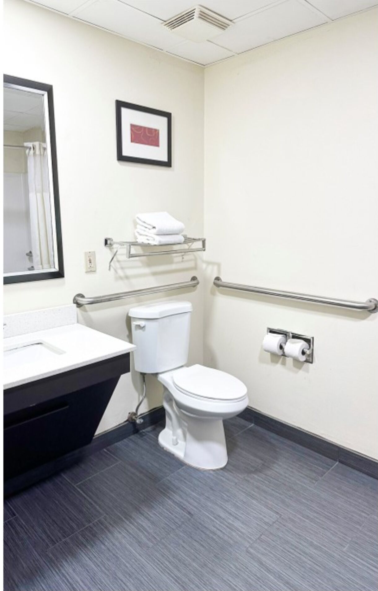 A modern bathroom with a white toilet, a sink with a black countertop, a mirror, a framed picture on the wall, and a handrail.
