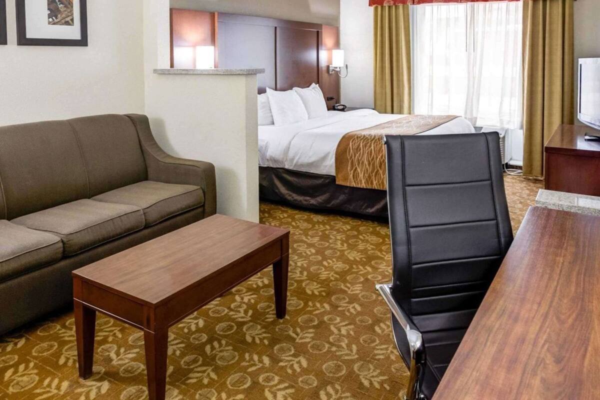 A hotel room with a bed, a sofa, a desk, and a chair.