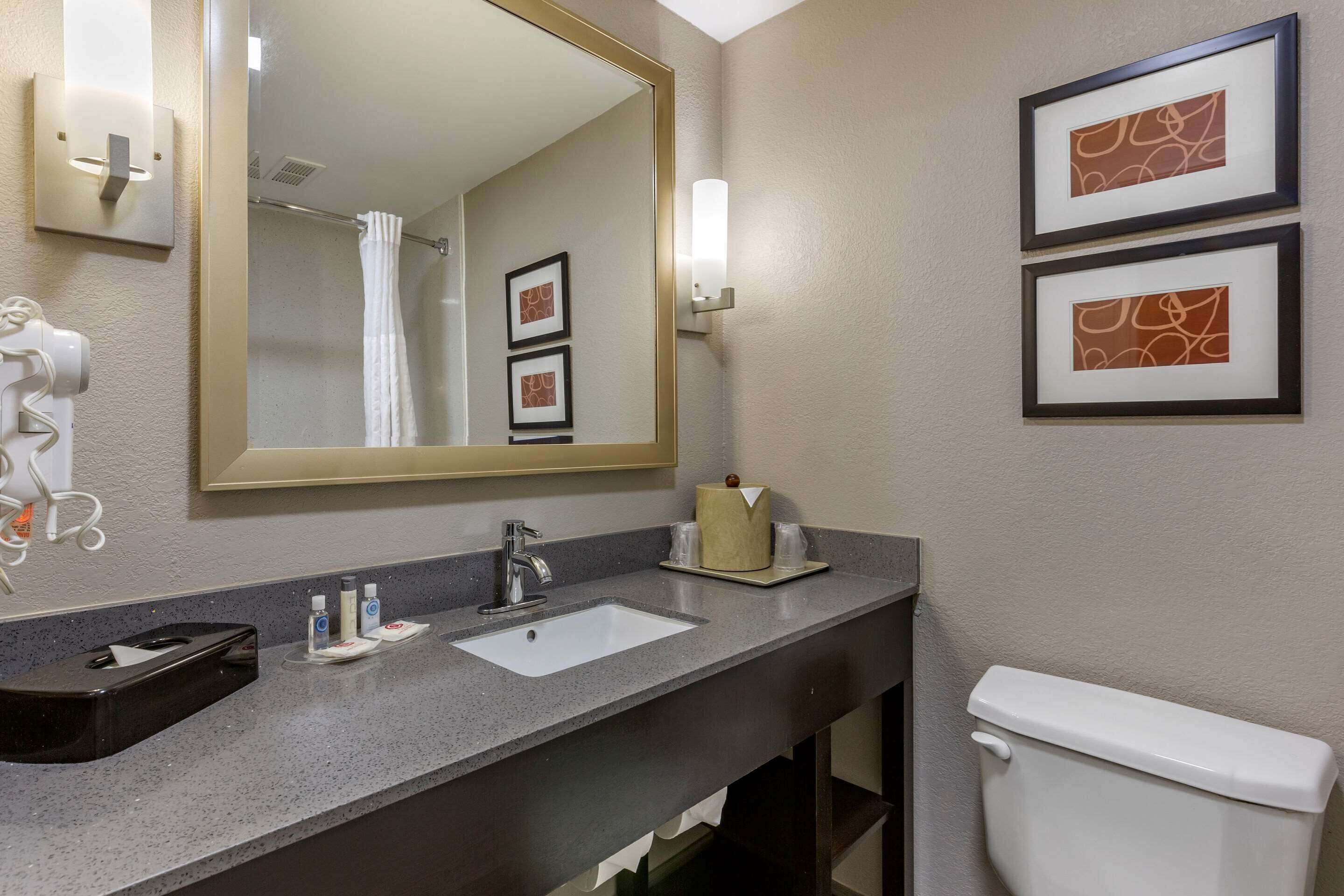 Een hotelbadkamer met een grote spiegel, een wastafel, een toilet en twee afbeeldingen in lijsten aan de muur.
